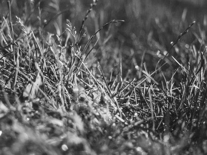 sudoku statistics screenshot 2