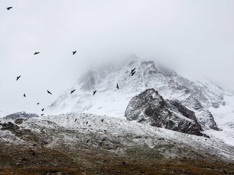 careers screenshot 5